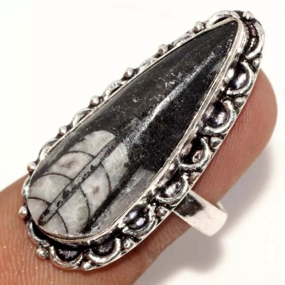 New Orthoceras Fossil Silver Ring. - Picture 4 of 6